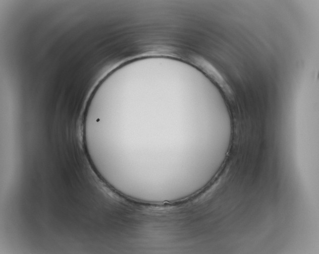 X0000111501284200908041155