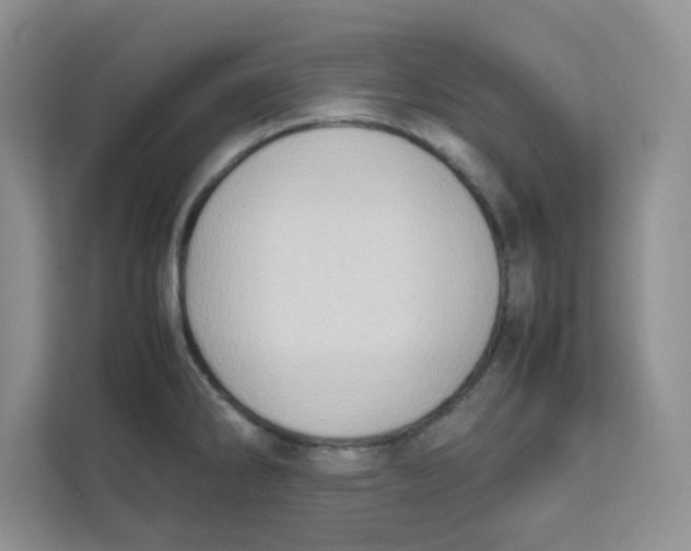 X0000111501286200908041155