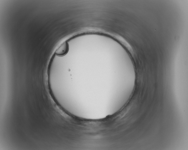 X0000111501287200908041155