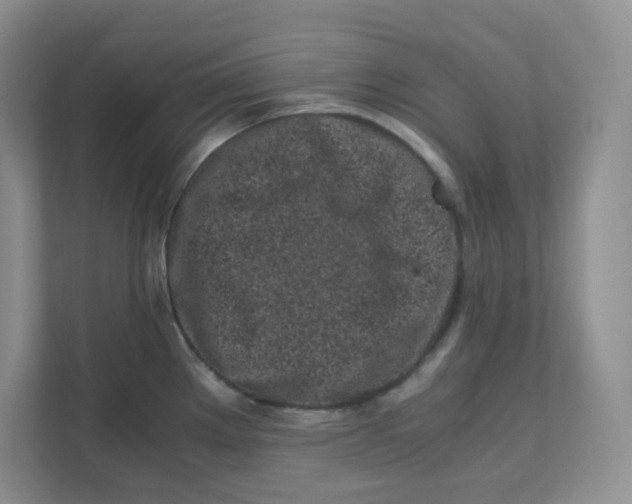 X0000111501289200908041155