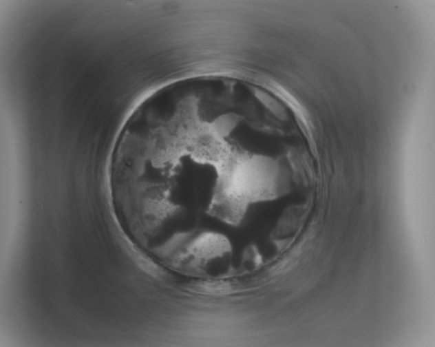 X0000111501291200908041155