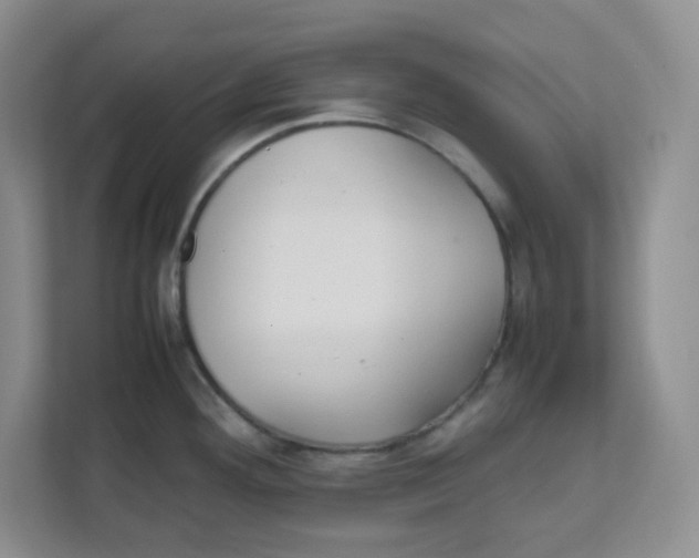 X0000111501292200908041155