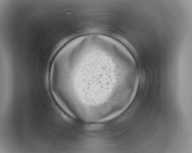 X0000111501294200908041155