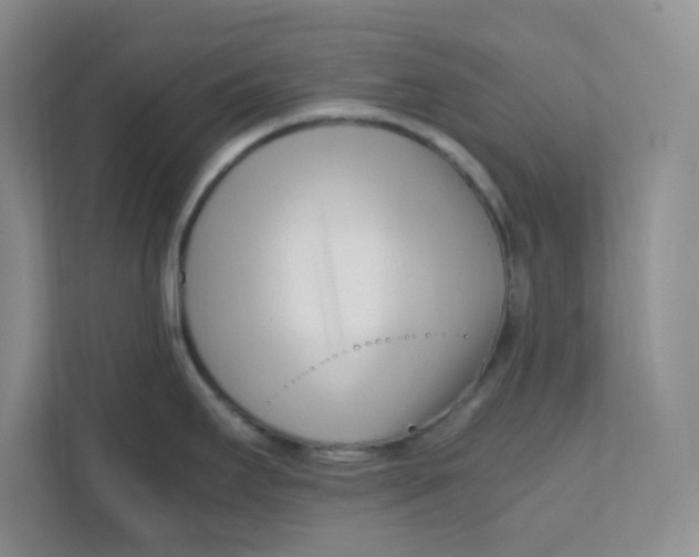 X0000111501295200908041155