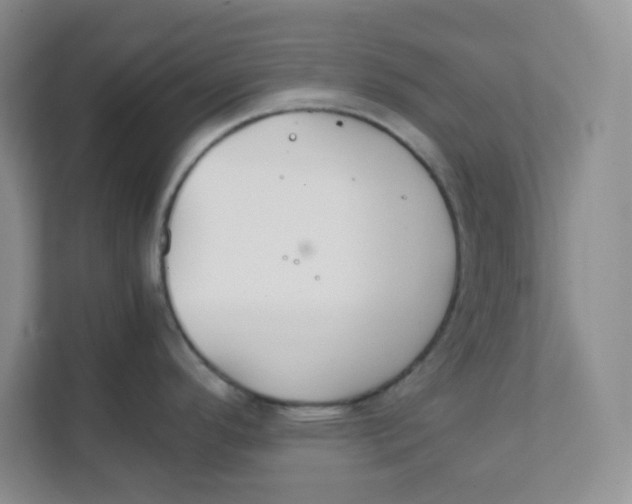 X0000111501296200908041155