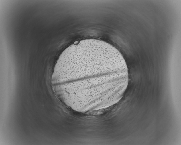 X0000111501297200908041154