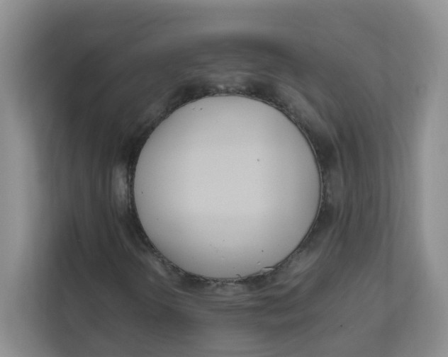 X0000111501298200908041154