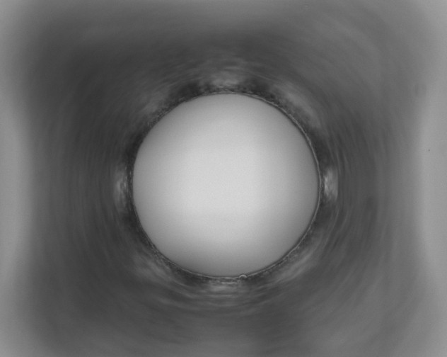 X0000111501299200908041154