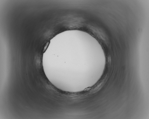 X0000111501300200908041154