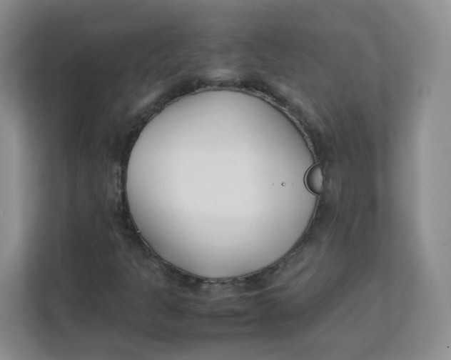 X0000111501301200908041154