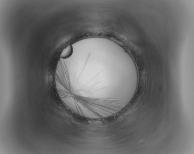 X0000111501302200908041154