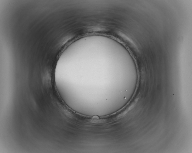 X0000111501305200908041154