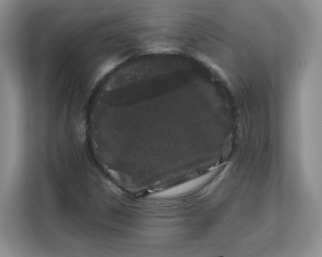 X0000111501306200908041154