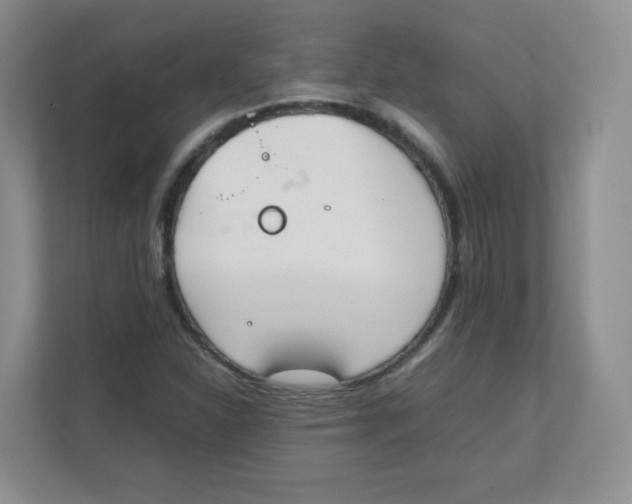 X0000111501310200908041154