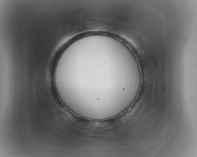 X0000111501311200908041154