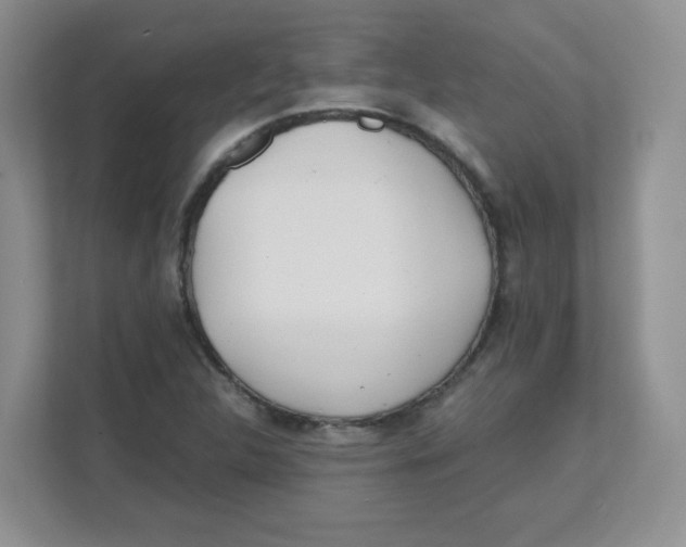 X0000111501312200908041154