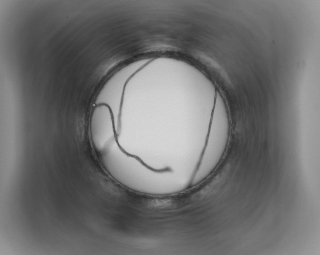 X0000111501313200908041154