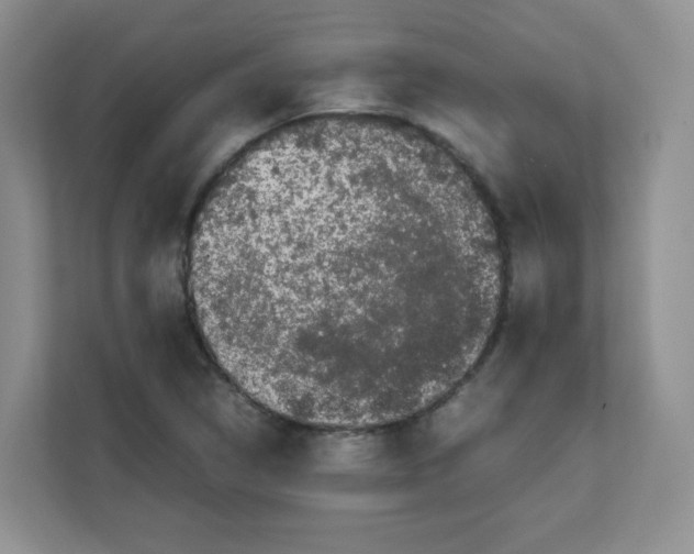 X0000111501314200908041154