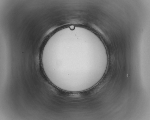 X0000111501315200908041154