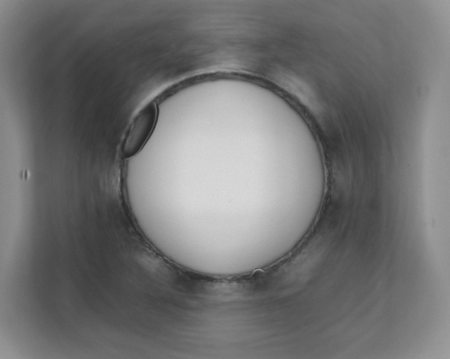 X0000111501316200908041154