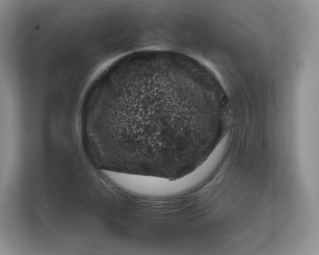 X0000111501319200908041154