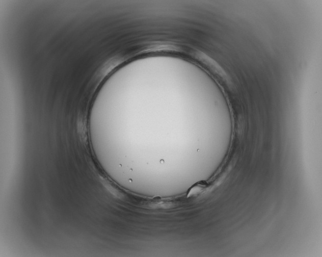 X0000111501321200908041154