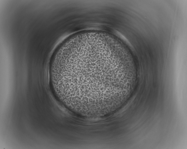 X0000111501323200908041154