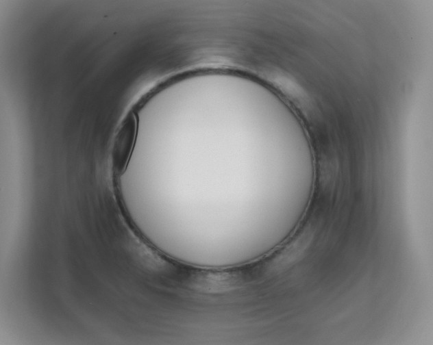 X0000111501326200908041154