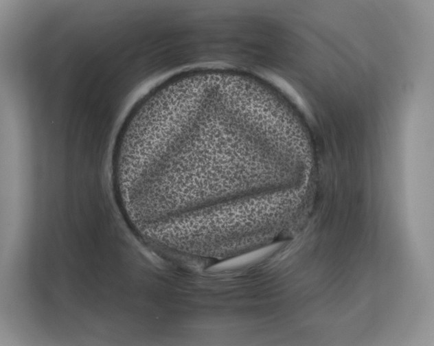 X0000111501327200908041154