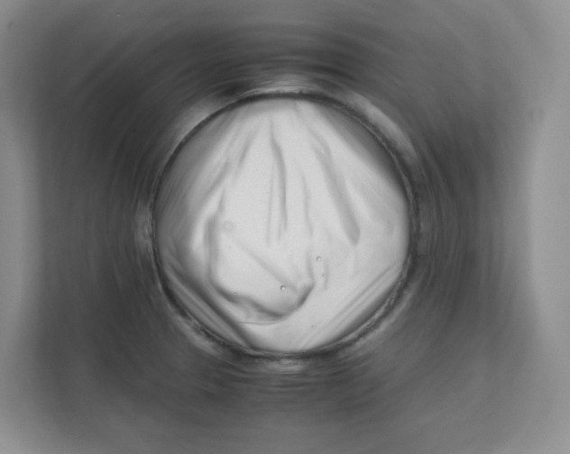 X0000111501329200908041154