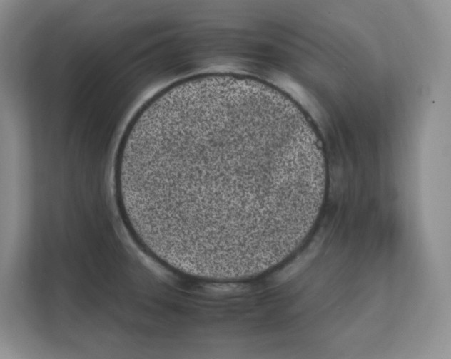 X0000111501331200908041154