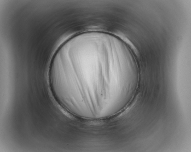 X0000111501333200908041154