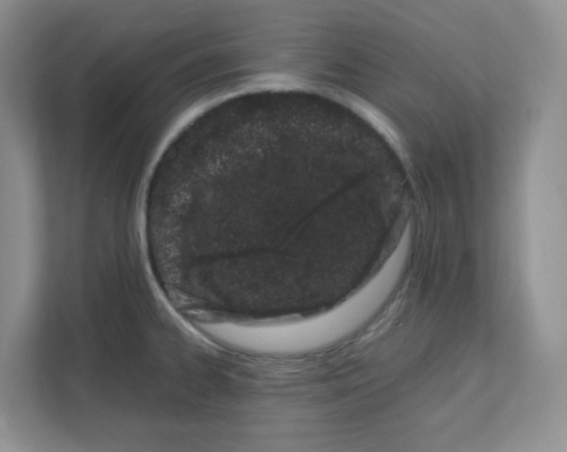 X0000111501334200908041154