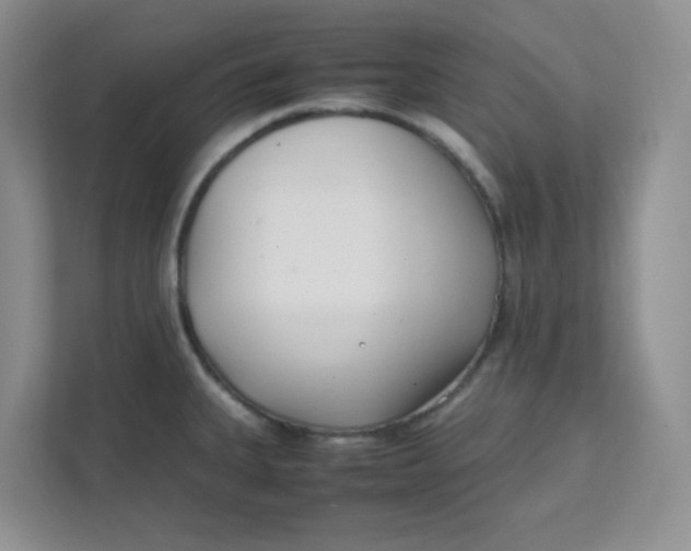 X0000111501335200908041154