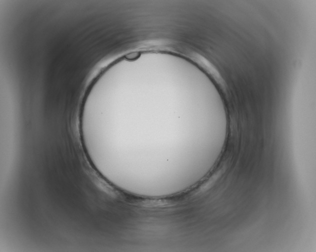 X0000111501336200908041154