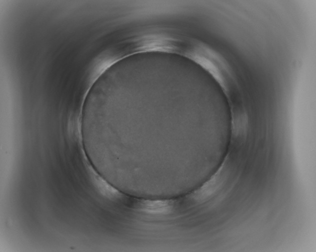 X0000111501338200908041154