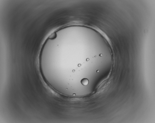 X0000111501341200908041154