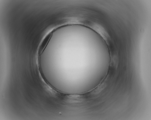 X0000111501342200908041154