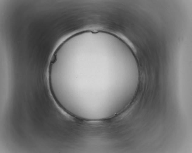 X0000111501343200908041155