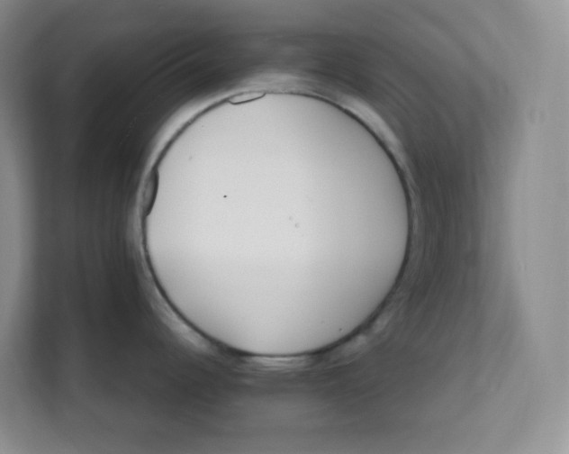 X0000111501344200908041155