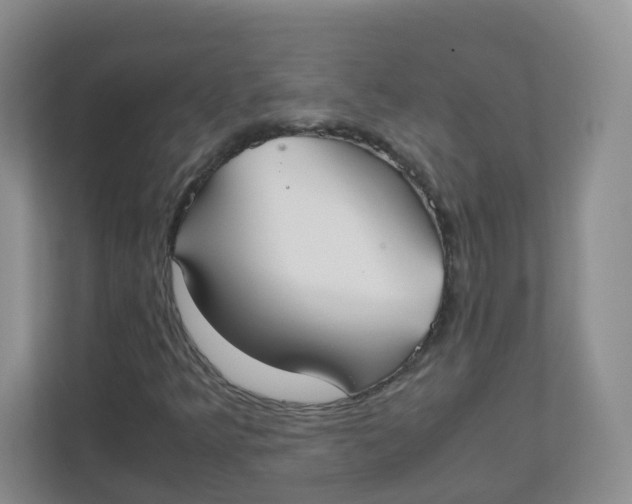 X0000111501349200908041154