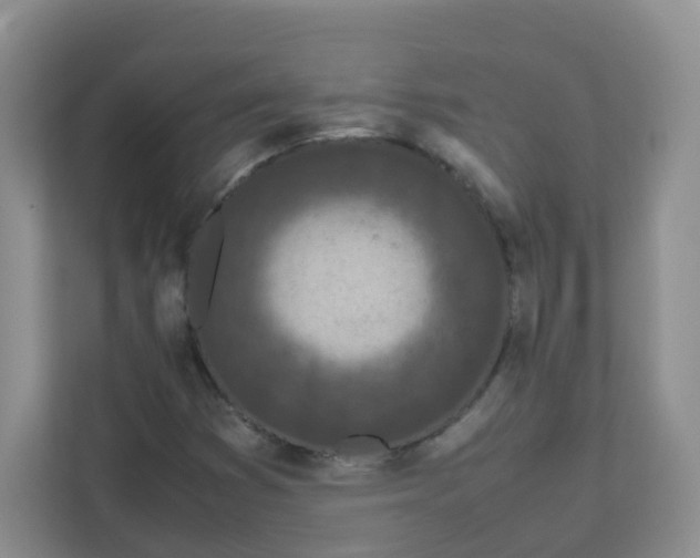 X0000111501353200908041154