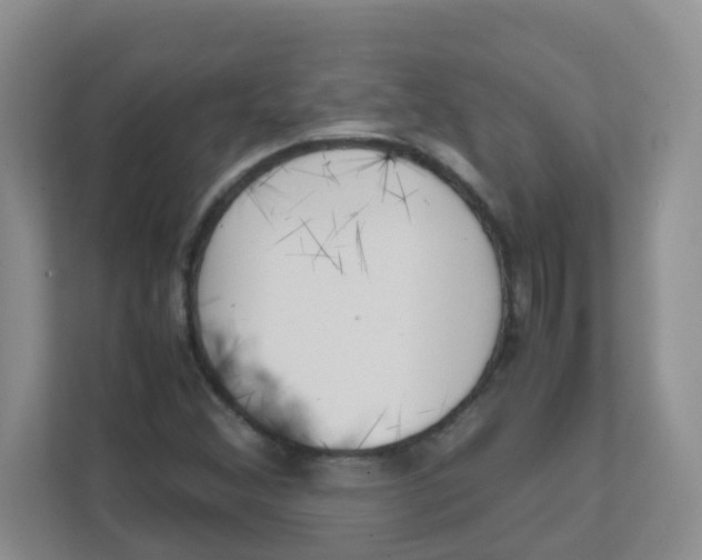 X0000111501356200908041154