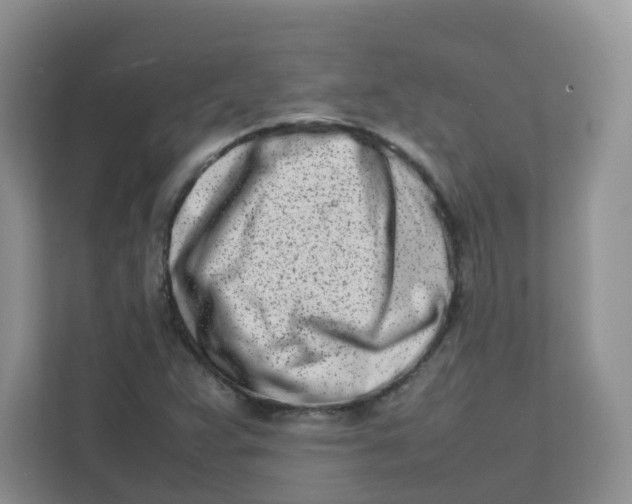 X0000111501359200908041154