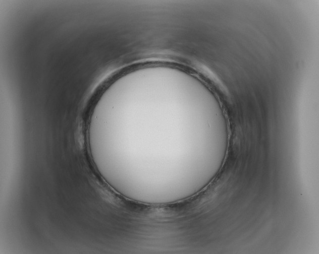 X0000111501360200908041154