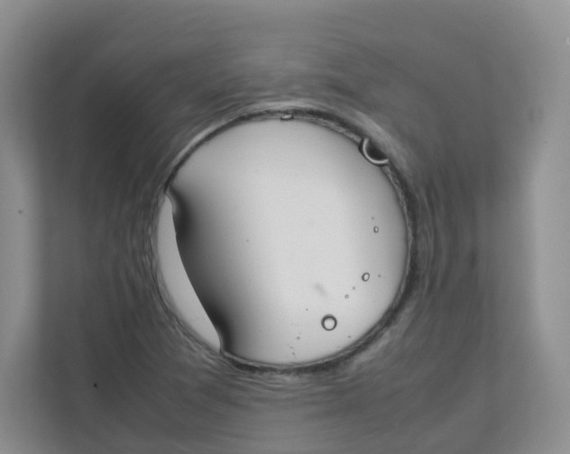 X0000111501361200908041154