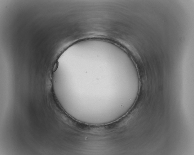 X0000111501363200908041154