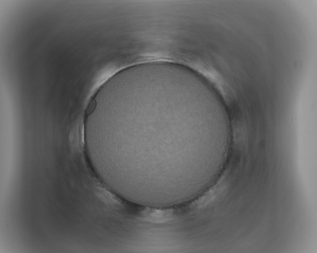 X0000111501365200908041154