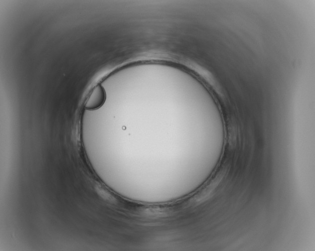 X0000111501366200908041154