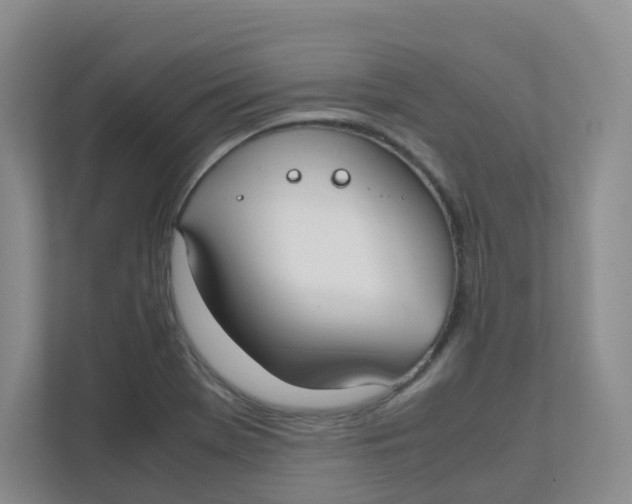 X0000111501369200908041154